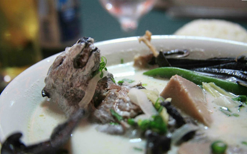 Las sopas más extrañas del mundo Las sopas más extrañas del mundo