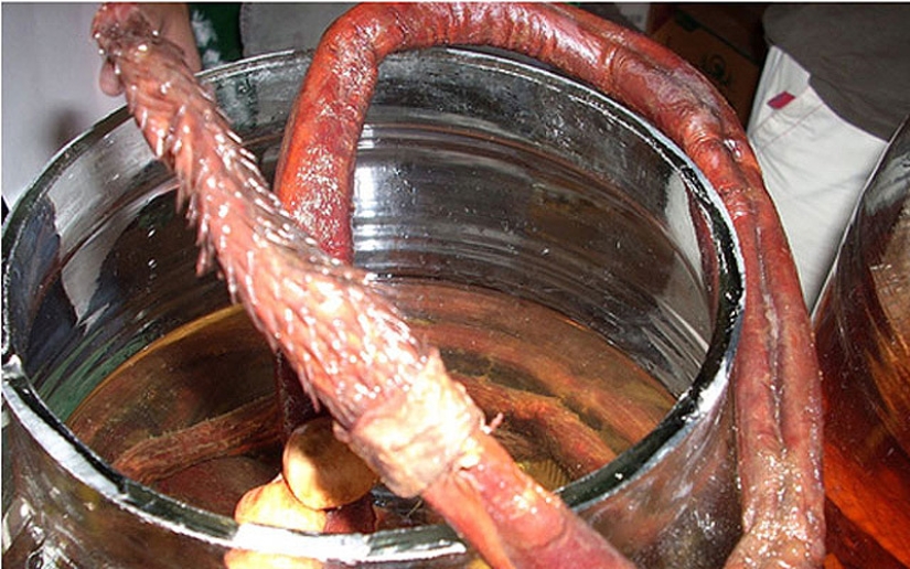 Las sopas más extrañas del mundo Las sopas más extrañas del mundo