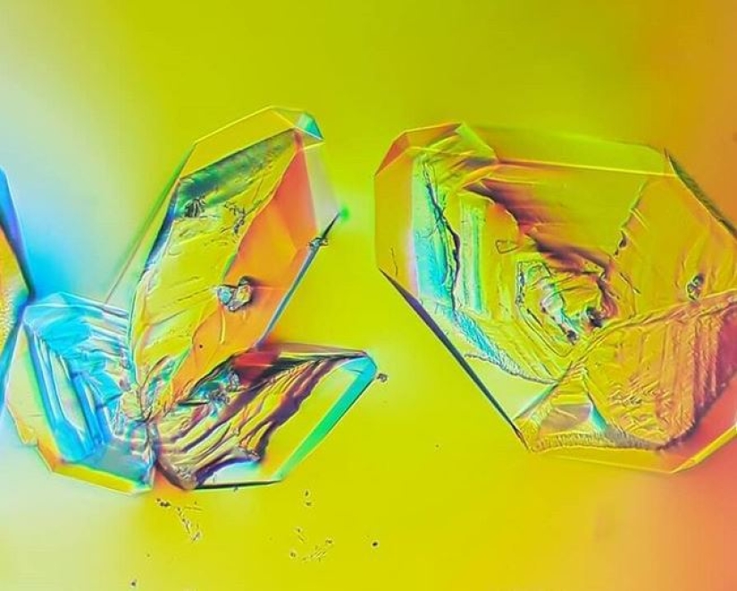 Las tabletas, Cola, papel: fotos macro de objetos familiares que te sorprenderá Las tabletas, Cola, papel: fotos macro de objetos familiares que te sorprenderá