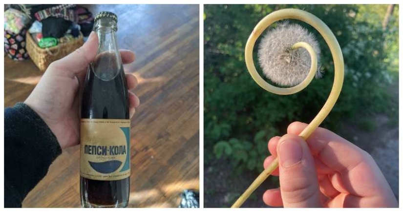 Life is full of surprises! 22 unexpected finds that caused a lot of emotions Life is full of surprises! 22 unexpected finds that caused a lot of emotions