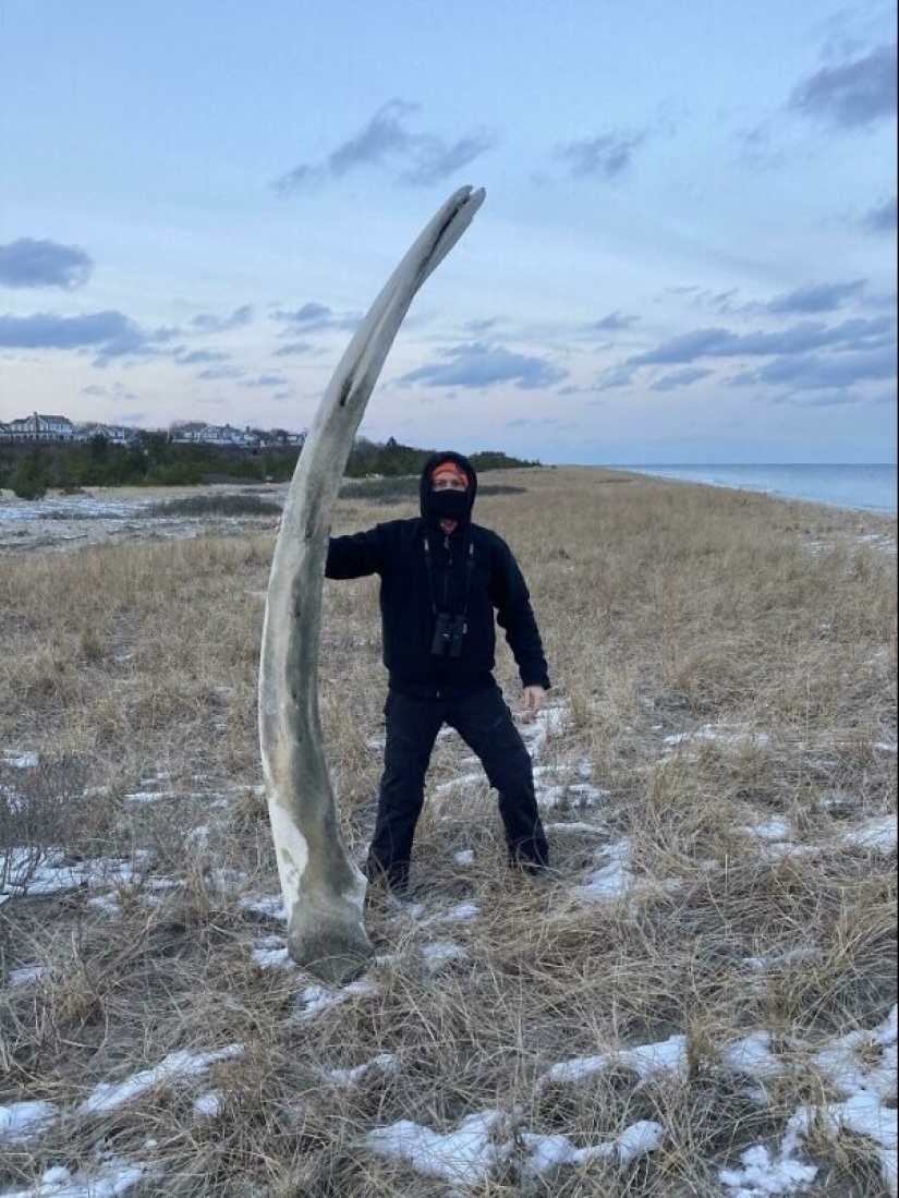 Life is full of surprises! 22 unexpected finds that caused a lot of emotions Life is full of surprises! 22 unexpected finds that caused a lot of emotions