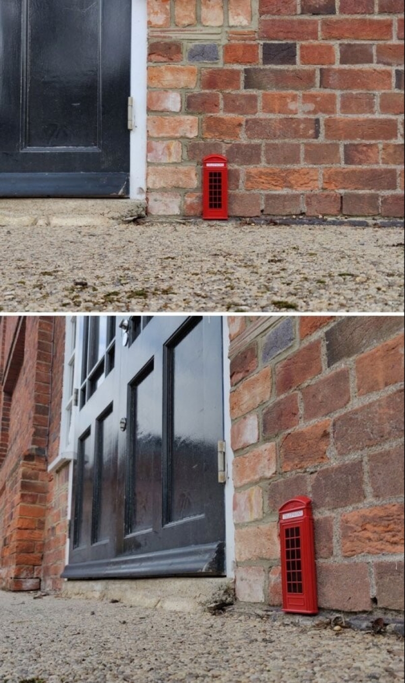 Life is full of surprises! 22 unexpected finds that caused a lot of emotions Life is full of surprises! 22 unexpected finds that caused a lot of emotions