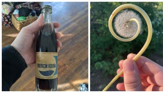 Life is full of surprises! 22 unexpected finds that caused a lot of emotions Life is full of surprises! 22 unexpected finds that caused a lot of emotions