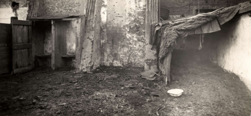 Life of Roma in Europe before World War II Life of Roma in Europe before World War II