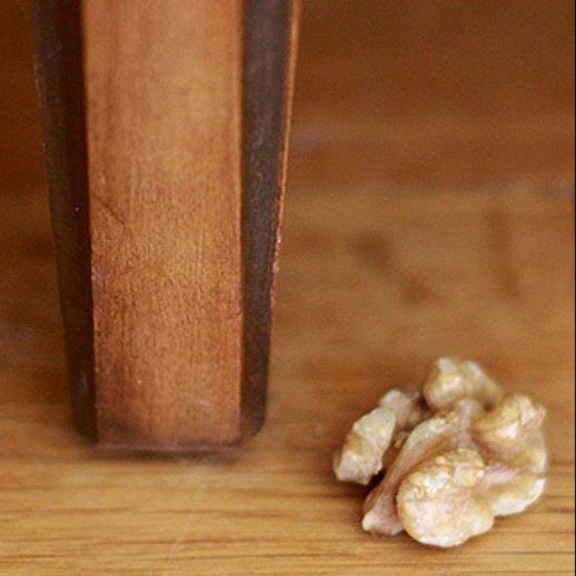 Lifehacking: 20 ways to make life easier