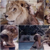Lion as a pet