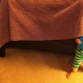 Little champions of the game of hide and seek