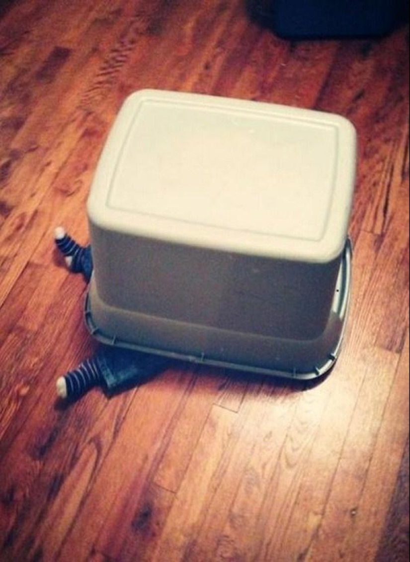 Little champions of the game of hide and seek