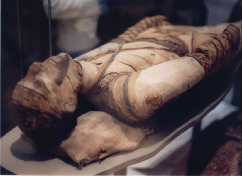 Little-known facts about ancient Egyptian mummies that you won't learn about from movies Little-known facts about ancient Egyptian mummies that you won't learn about from movies