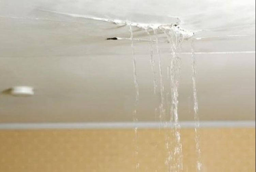 Llenó de nuevo de los vecinos? Epic fotos que te harán pensar en mudarse a una casa privada