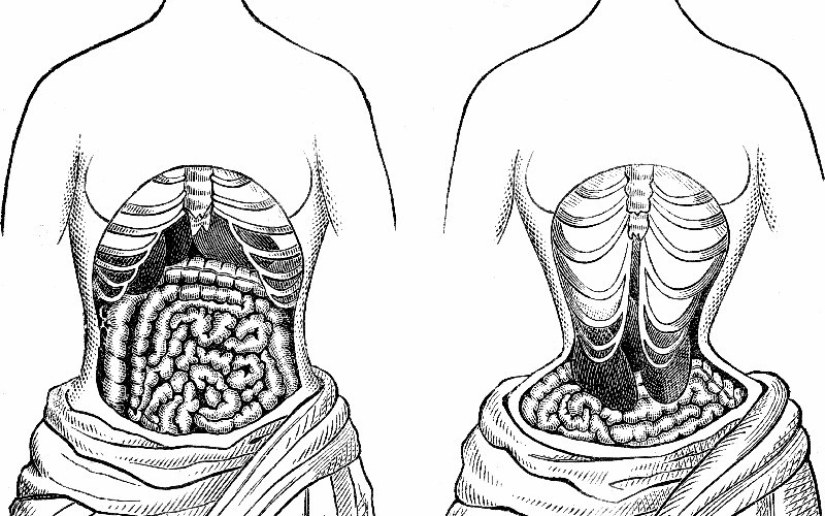 Lleve al pecho: la historia mundial del sujetador Lleve al pecho: la historia mundial del sujetador