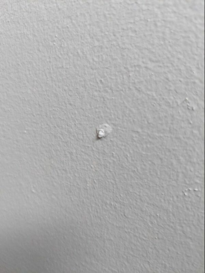 ¿Lo parecía o no? 22 fotos de cosas que son muy similares a otras cosas