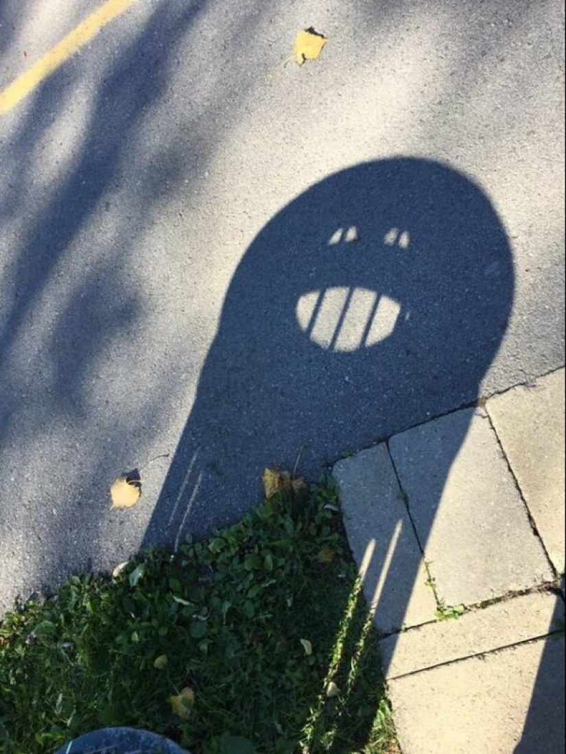 ¿Lo parecía o no? 22 fotos de cosas que son muy similares a otras cosas