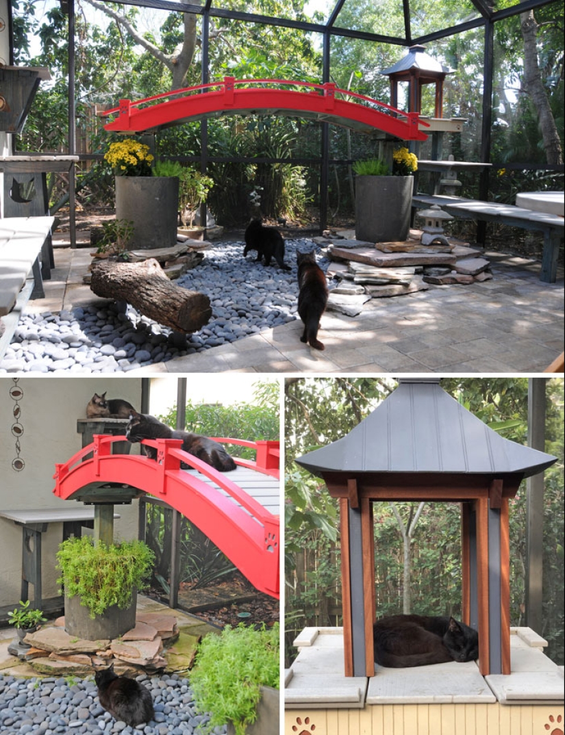 Lo que es y es Koti, zona de juegos para gatos al aire libre Lo que es y es Koti, zona de juegos para gatos al aire libre