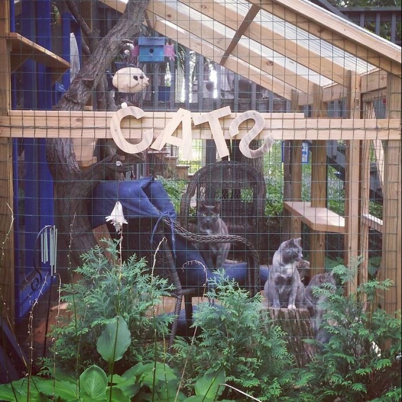 Lo que es y es Koti, zona de juegos para gatos al aire libre Lo que es y es Koti, zona de juegos para gatos al aire libre