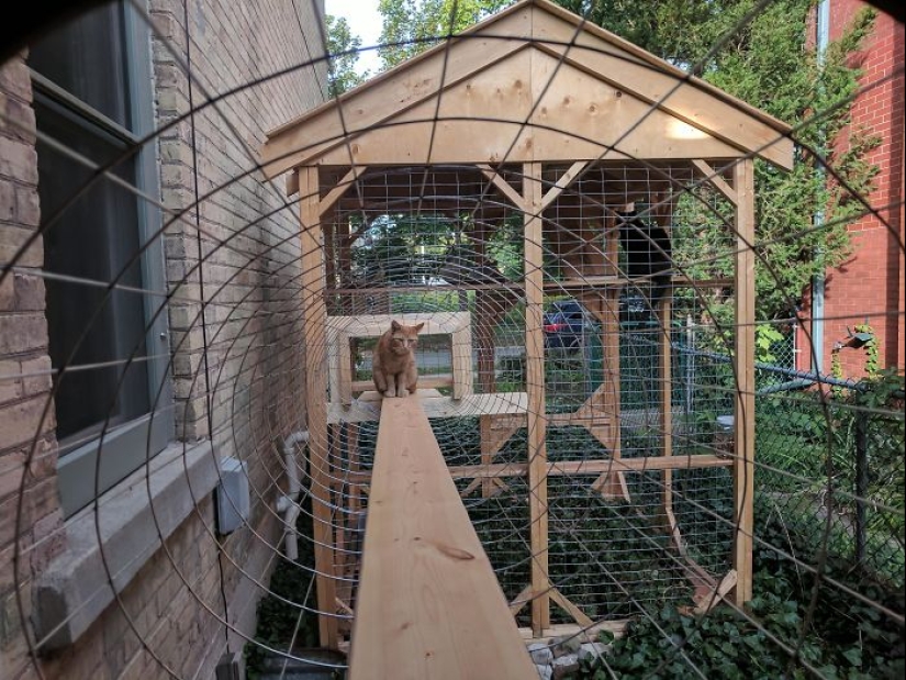 Lo que es y es Koti, zona de juegos para gatos al aire libre Lo que es y es Koti, zona de juegos para gatos al aire libre