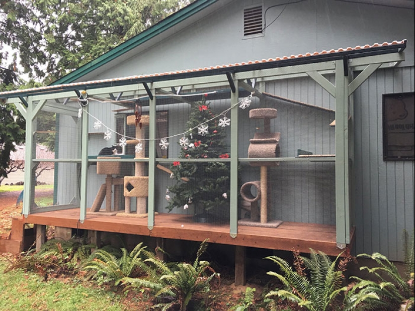 Lo que es y es Koti, zona de juegos para gatos al aire libre Lo que es y es Koti, zona de juegos para gatos al aire libre