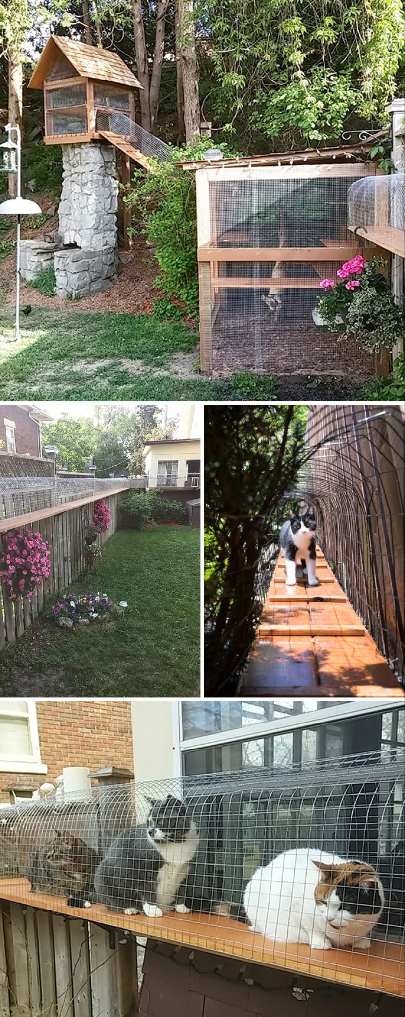 Lo que es y es Koti, zona de juegos para gatos al aire libre Lo que es y es Koti, zona de juegos para gatos al aire libre