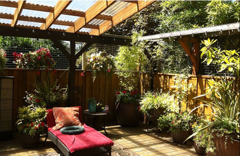 Lo que es y es Koti, zona de juegos para gatos al aire libre Lo que es y es Koti, zona de juegos para gatos al aire libre