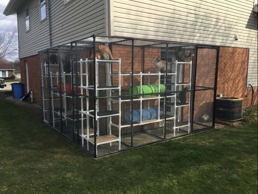 Lo que es y es Koti, zona de juegos para gatos al aire libre Lo que es y es Koti, zona de juegos para gatos al aire libre