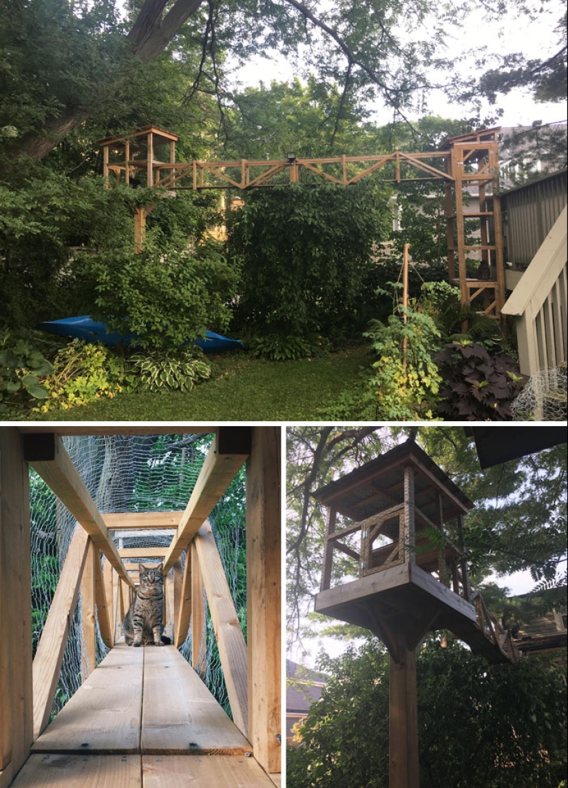 Lo que es y es Koti, zona de juegos para gatos al aire libre Lo que es y es Koti, zona de juegos para gatos al aire libre