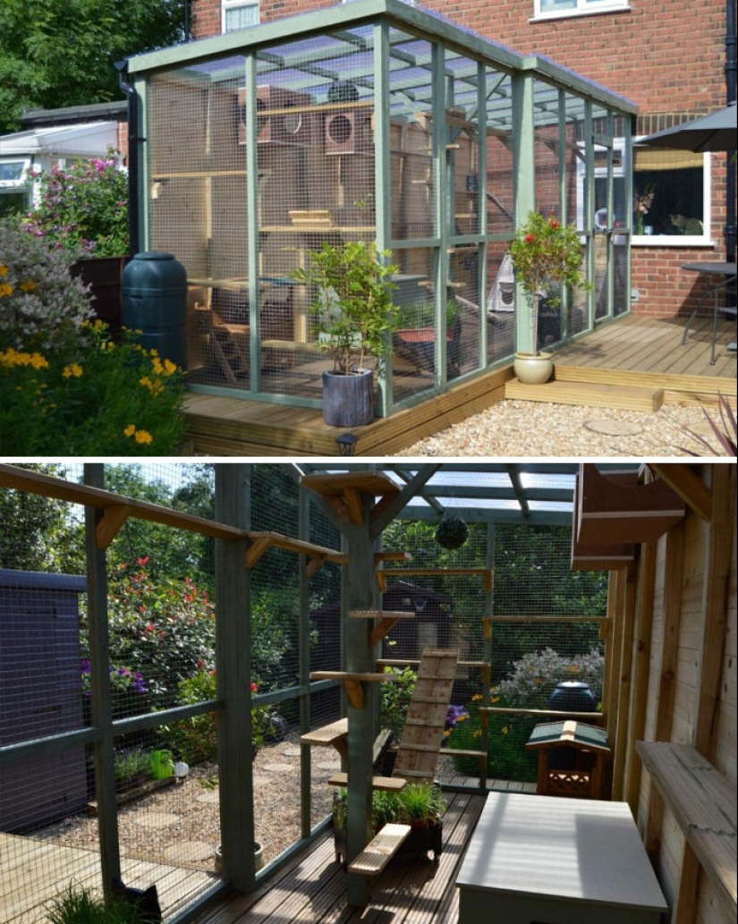 Lo que es y es Koti, zona de juegos para gatos al aire libre Lo que es y es Koti, zona de juegos para gatos al aire libre