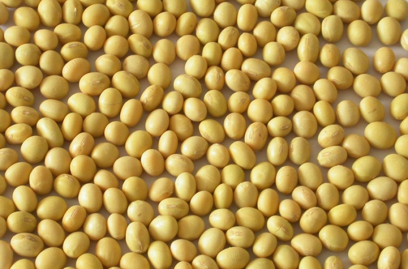 Lo que no escribirán en las etiquetas: lo que necesita saber sobre 10 aditivos alimentarios "dañinos" Lo que no escribirán en las etiquetas: lo que necesita saber sobre 10 aditivos alimentarios "dañinos"