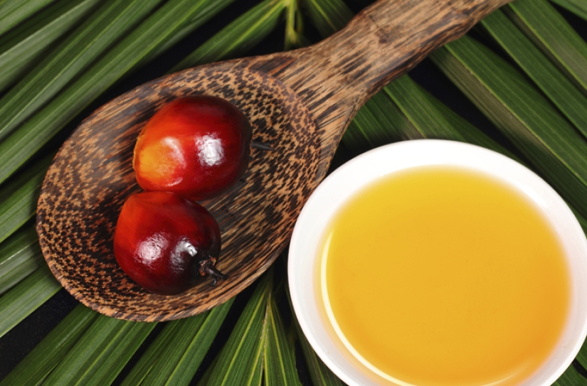 Lo que no escribirán en las etiquetas: lo que necesita saber sobre 10 aditivos alimentarios "dañinos" Lo que no escribirán en las etiquetas: lo que necesita saber sobre 10 aditivos alimentarios "dañinos"