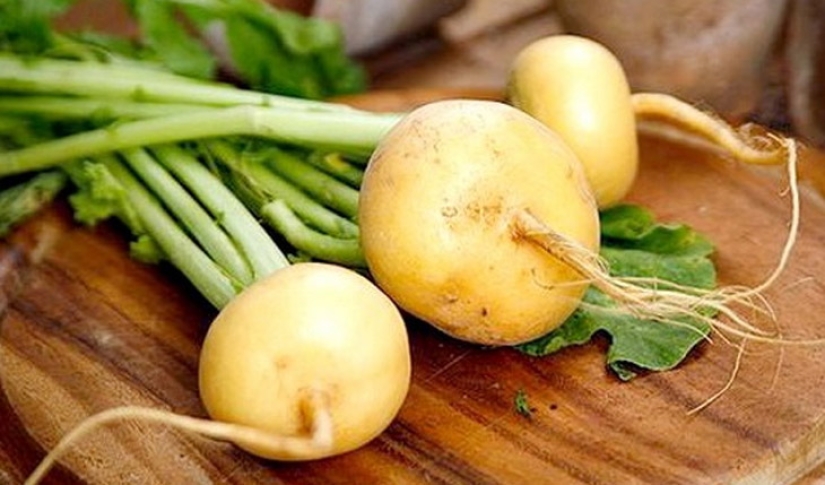 Lo que Rusia participó en levelwise y por qué esta profesión era muy honorable Lo que Rusia participó en levelwise y por qué esta profesión era muy honorable