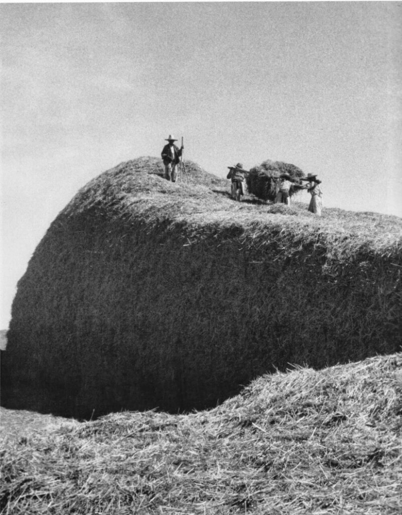 Lola Alvarez Bravo - Mexican Photography in Female Hands Lola Alvarez Bravo - Mexican Photography in Female Hands