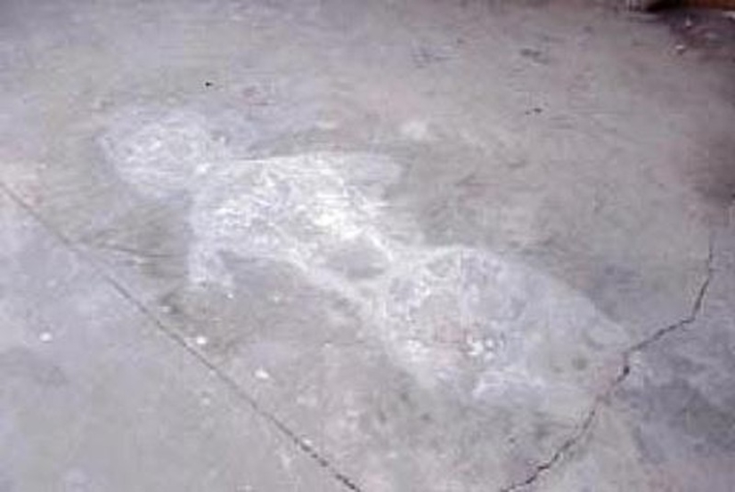 Lonely death is a shocking phenomenon from Japan Lonely death is a shocking phenomenon from Japan