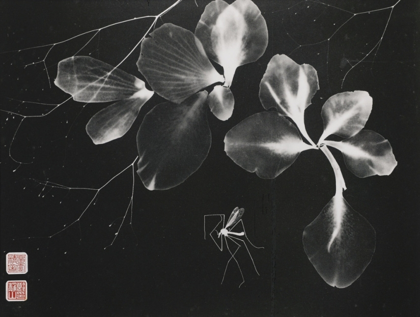 Long Chinsan: Founder of Pictorealism and China's First Nude Photographer