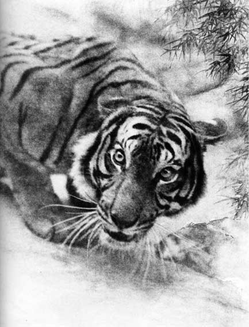 Long Chinsan: Fundador del pictorrealismo y primer fotógrafo de desnudos de China