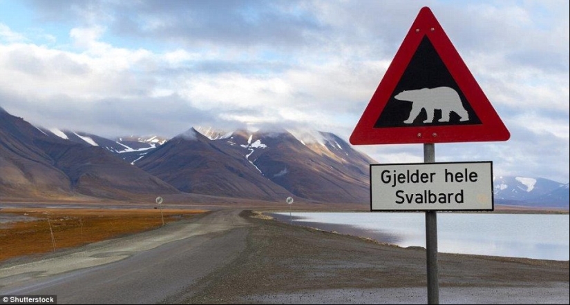 Longyearbyen: the most Northern town on Earth, which by law are not allowed to die Longyearbyen: the most Northern town on Earth, which by law are not allowed to die