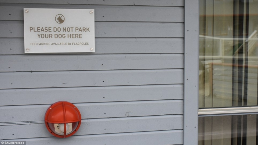 Longyearbyen: the most Northern town on Earth, which by law are not allowed to die Longyearbyen: the most Northern town on Earth, which by law are not allowed to die