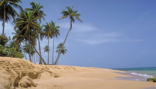 Look for a woman: nude models blend in with the landscape