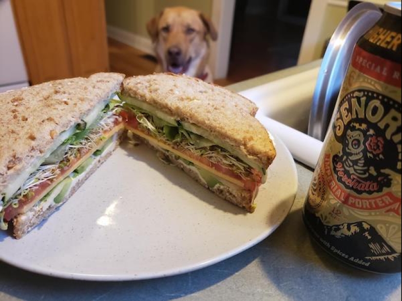 Look into the soul: a mustache beggars, which you just can not refuse Look into the soul: a mustache beggars, which you just can not refuse