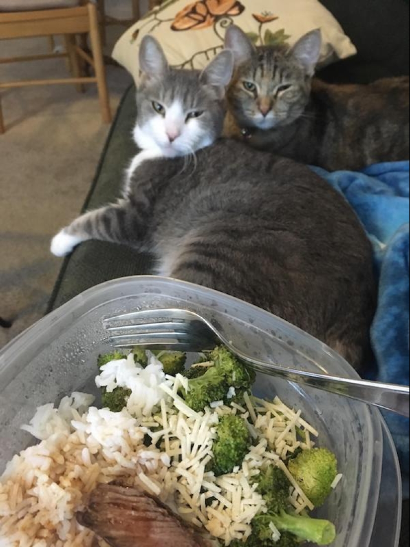 Look into the soul: a mustache beggars, which you just can not refuse Look into the soul: a mustache beggars, which you just can not refuse