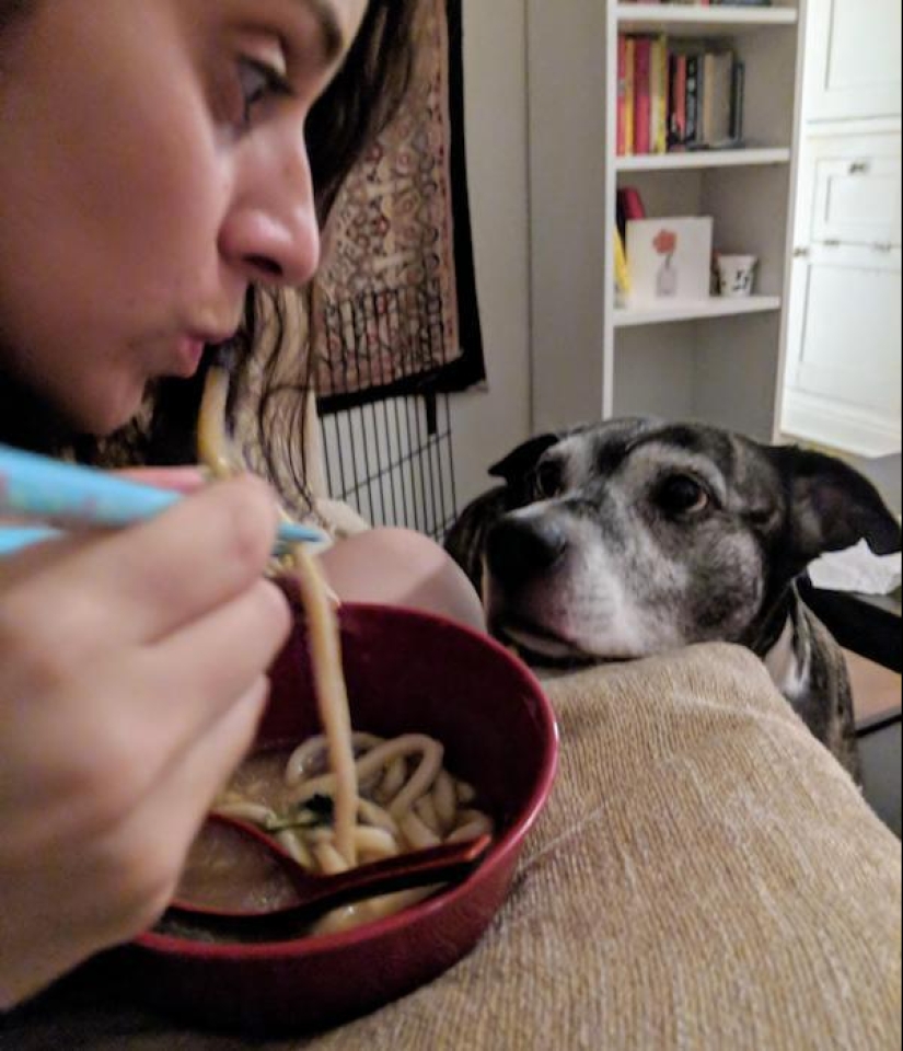 Look into the soul: a mustache beggars, which you just can not refuse Look into the soul: a mustache beggars, which you just can not refuse