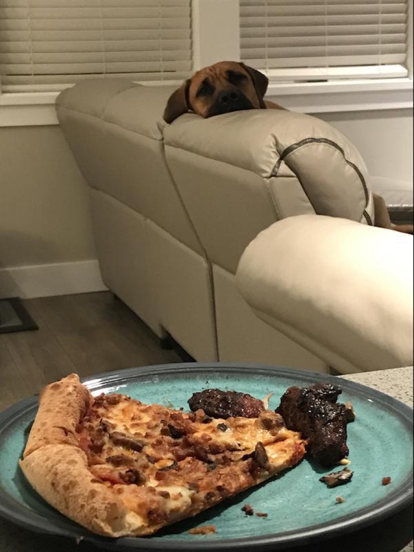 Look into the soul: a mustache beggars, which you just can not refuse Look into the soul: a mustache beggars, which you just can not refuse