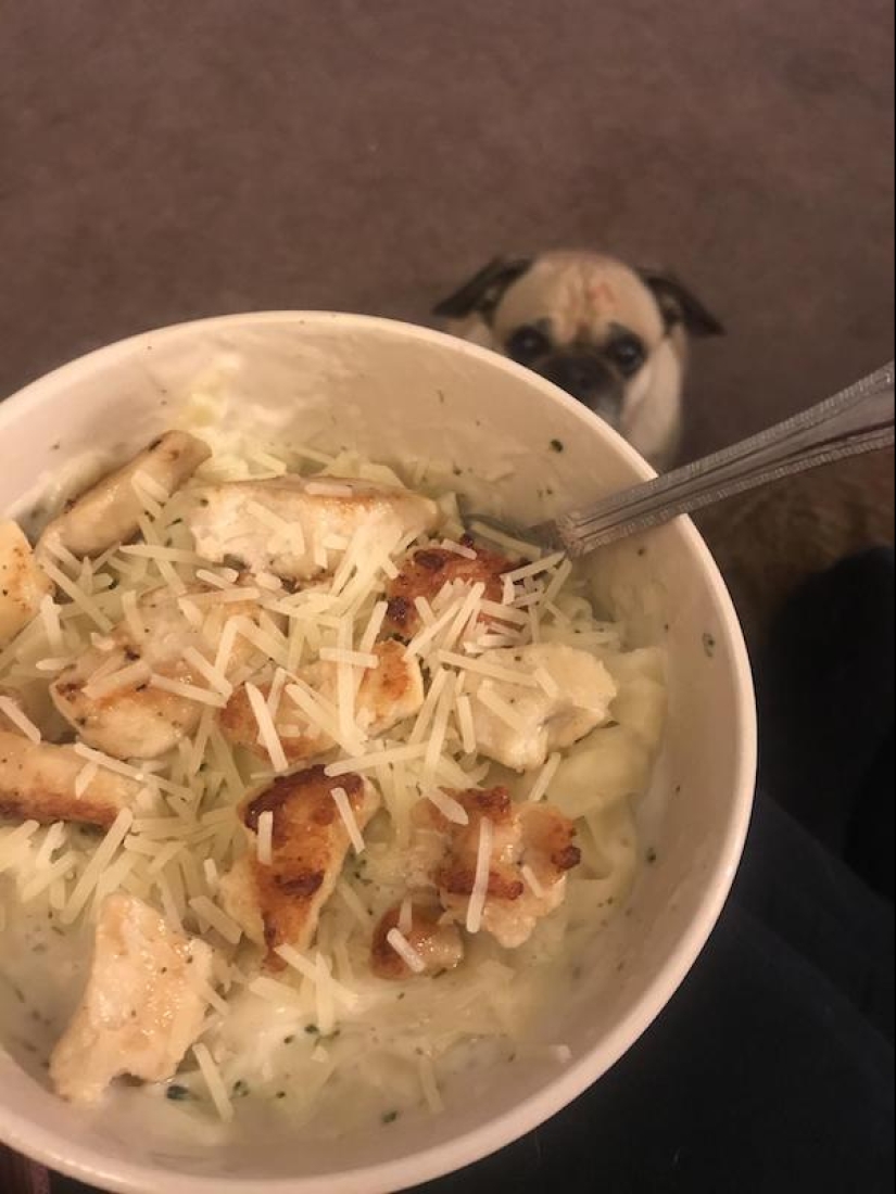 Look into the soul: a mustache beggars, which you just can not refuse Look into the soul: a mustache beggars, which you just can not refuse