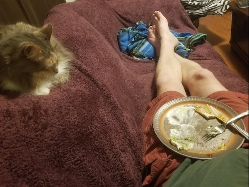 Look into the soul: a mustache beggars, which you just can not refuse Look into the soul: a mustache beggars, which you just can not refuse