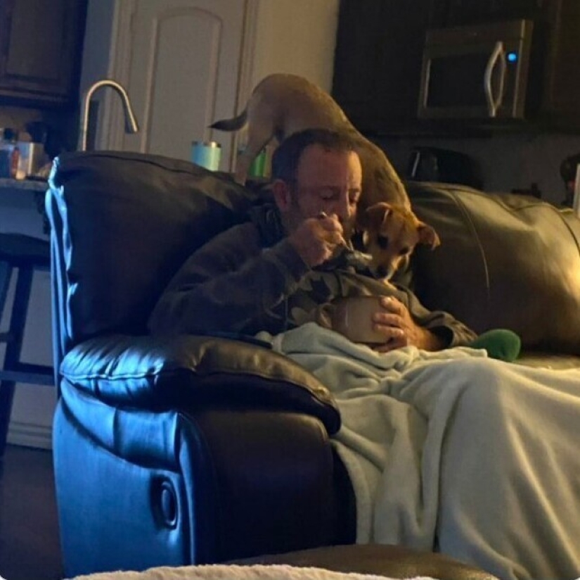 Looks right into the soul: 30 dogs who beg for food from their owners