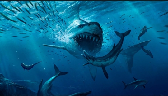 Los 10 tiburones más grandes del mundo Los 10 tiburones más grandes del mundo