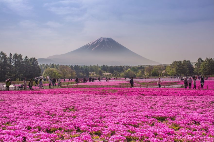 Los 15 lugares más bellos de Japón Los 15 lugares más bellos de Japón