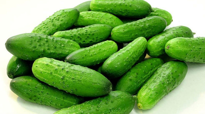 Los 20 mejores alimentos para quemar grasa y regular el metabolismo Los 20 mejores alimentos para quemar grasa y regular el metabolismo