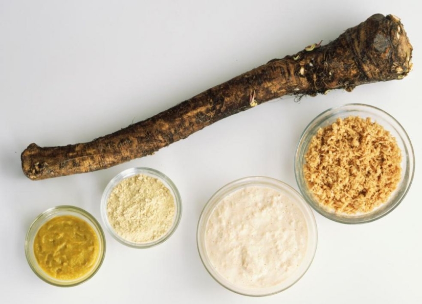 Los 20 mejores alimentos para quemar grasa y regular el metabolismo Los 20 mejores alimentos para quemar grasa y regular el metabolismo