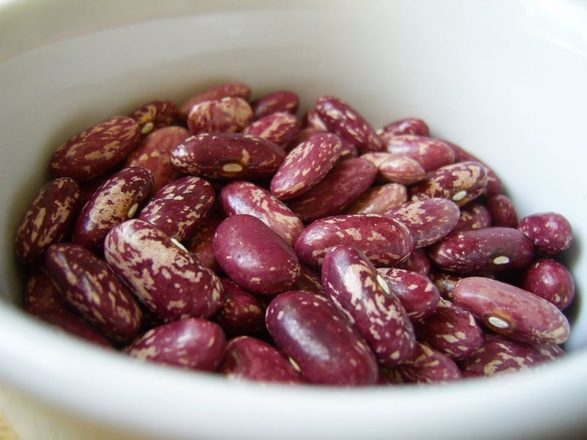 Los 20 mejores alimentos para quemar grasa y regular el metabolismo Los 20 mejores alimentos para quemar grasa y regular el metabolismo