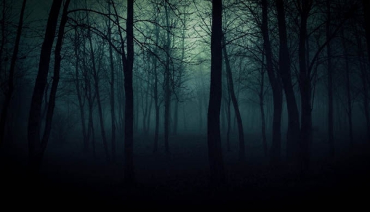 los 7 bosques más aterradores del planeta los 7 bosques más aterradores del planeta