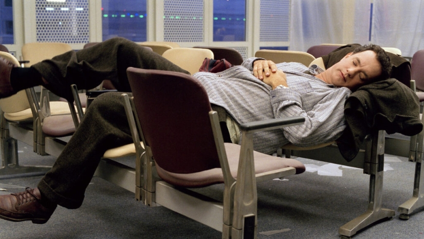 Los 7 residentes de aeropuertos más famosos